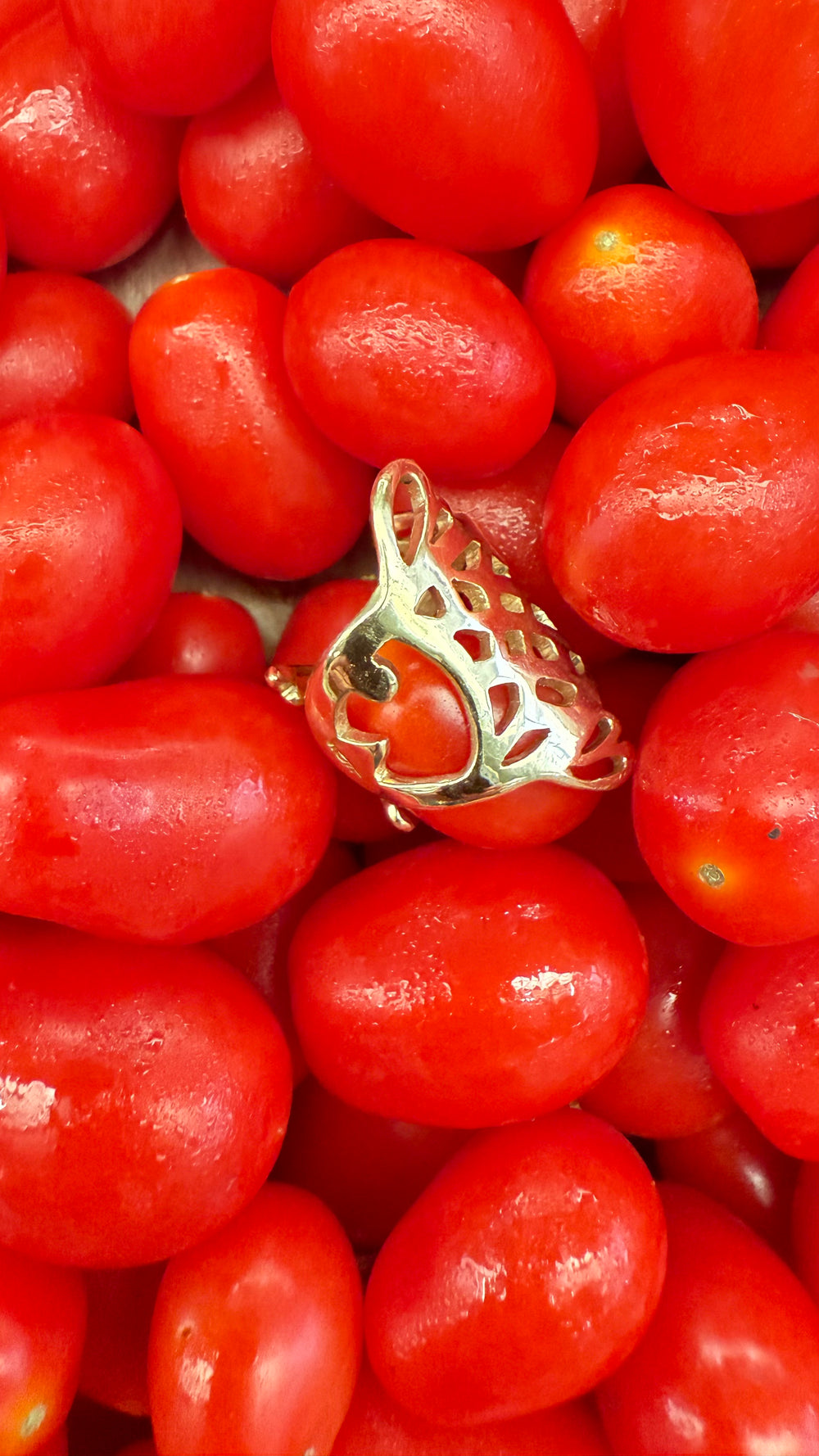 FISH RING