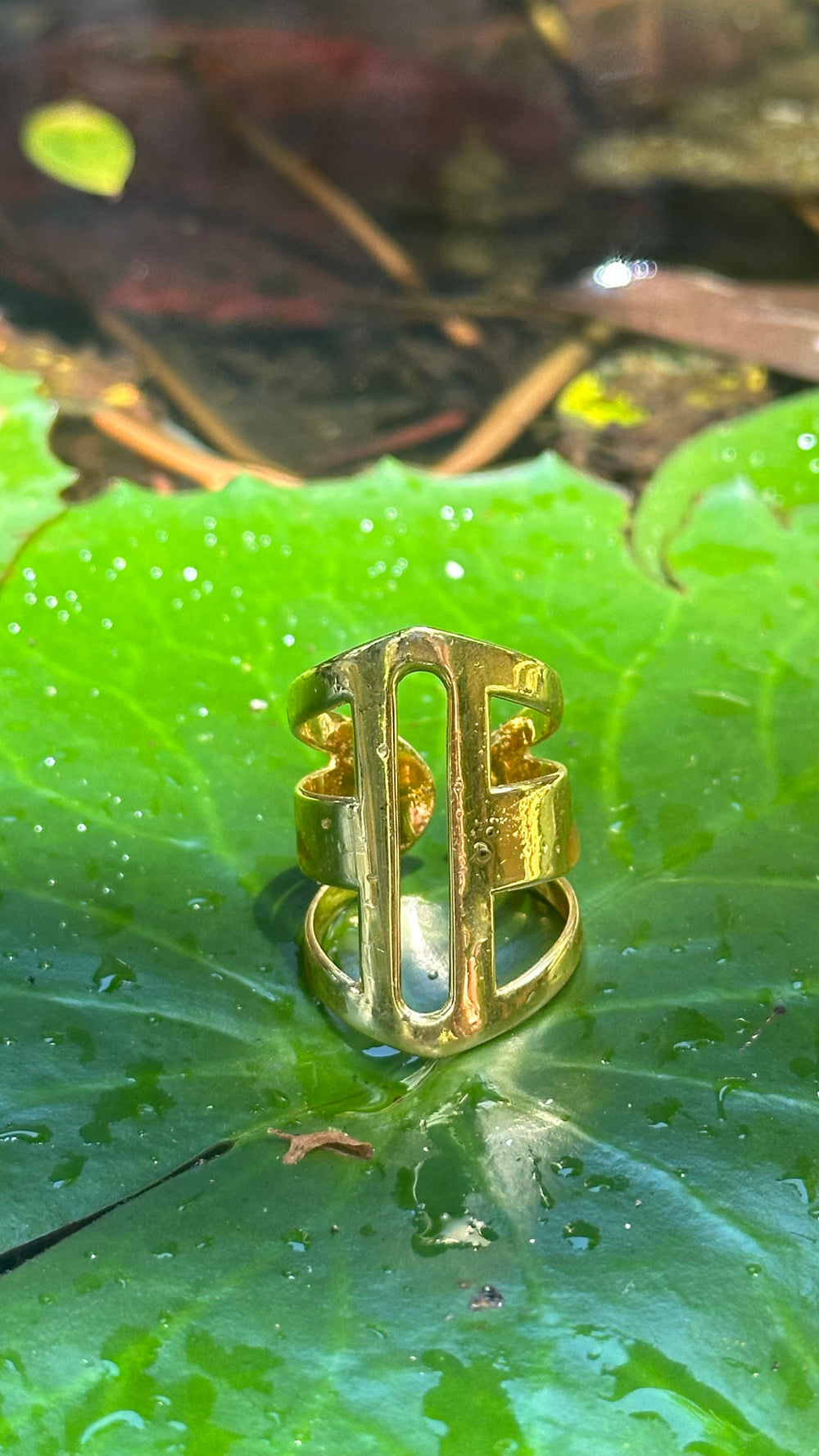 SINGLE TRACK RING